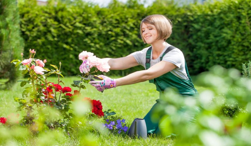 4 accesorii de grădinărit utile pentru orice gospodărie