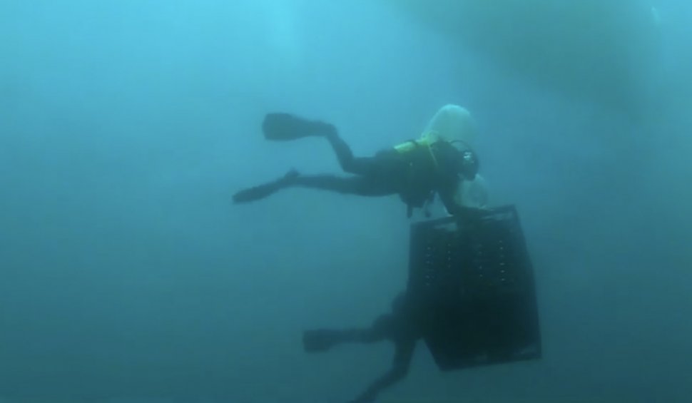 Cramă subacvatică în nordul Spaniei. Imaginile care arată cum sunt depozitate sute de mii de sticle de vin pe fundul mării