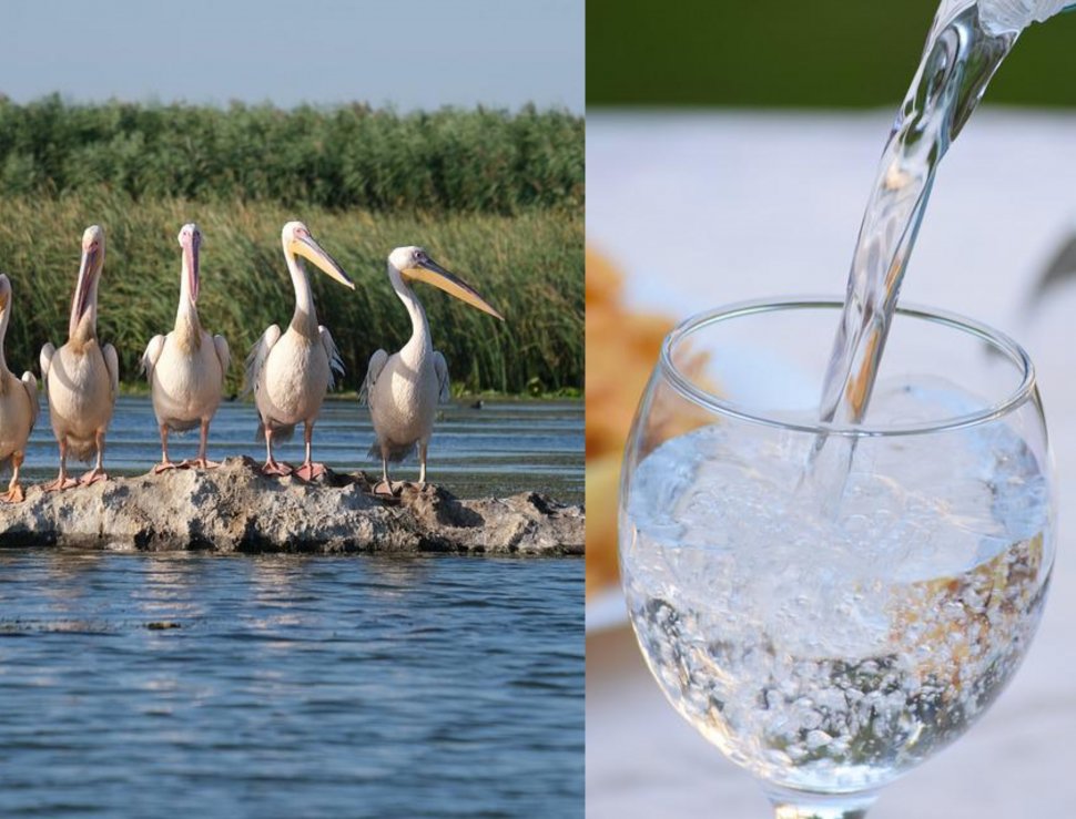 Cât costă în 2022 o sticlă de apă la un hotel din Delta Dunării 