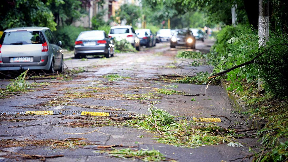 Bilanţul furtunii din București: 44 de copaci doborâţi şi 26 de mașini avariate
