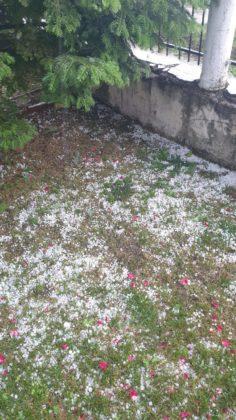 Salvare contracronomentru în Prahova. Un bărbat a fost la un pas de electrocutare după ce zona unde lucra a fost inundată în urma ploilor torenţiale 773583