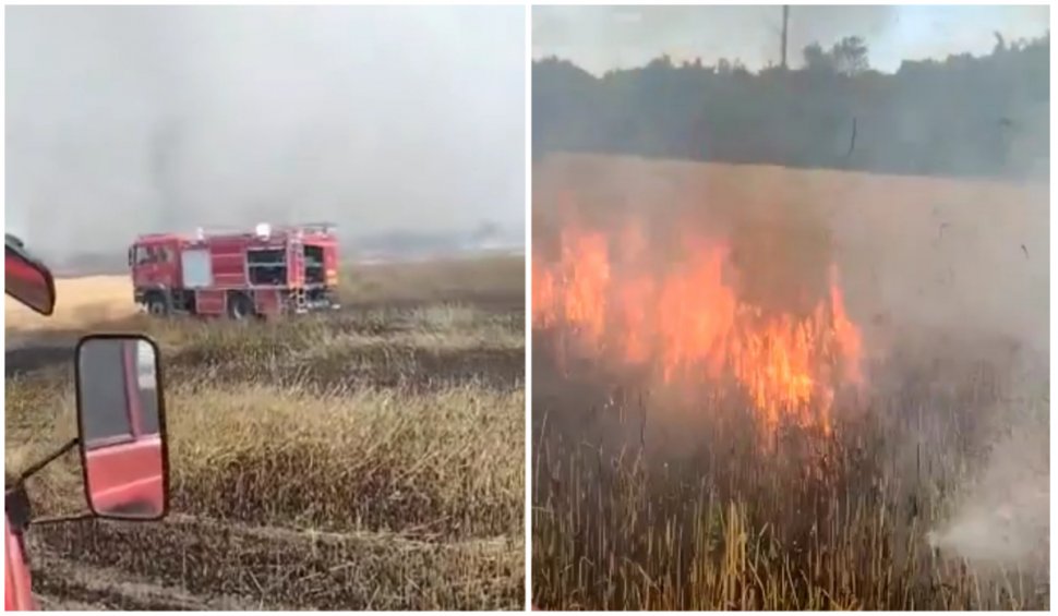Incendiu puternic la ieșirea din Arad! 15 hectare de orz s-au făcut scrum