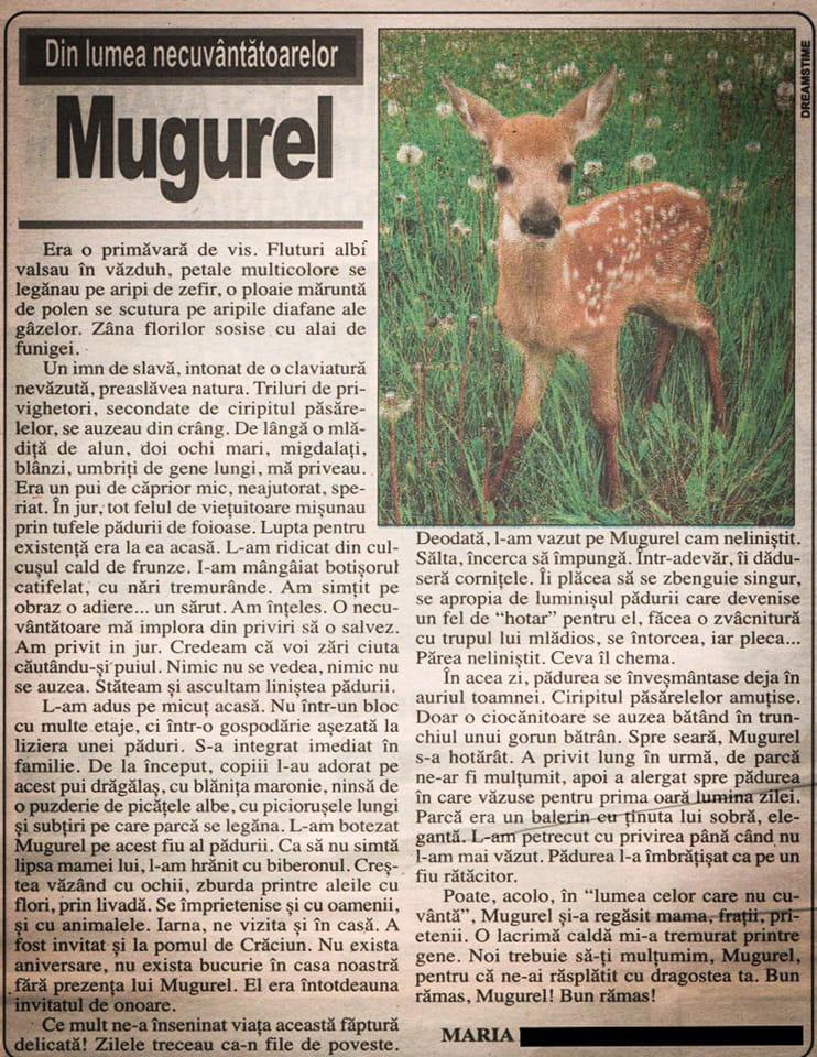 Mesajul viral al unui veterinar, pentru cei care cred că ajută animale sălbatice dar, de fapt, le fac rău: "NU ați înțeles bine, el nu vă implora să îl salvați, ci să îl lăsați în pace" 774234