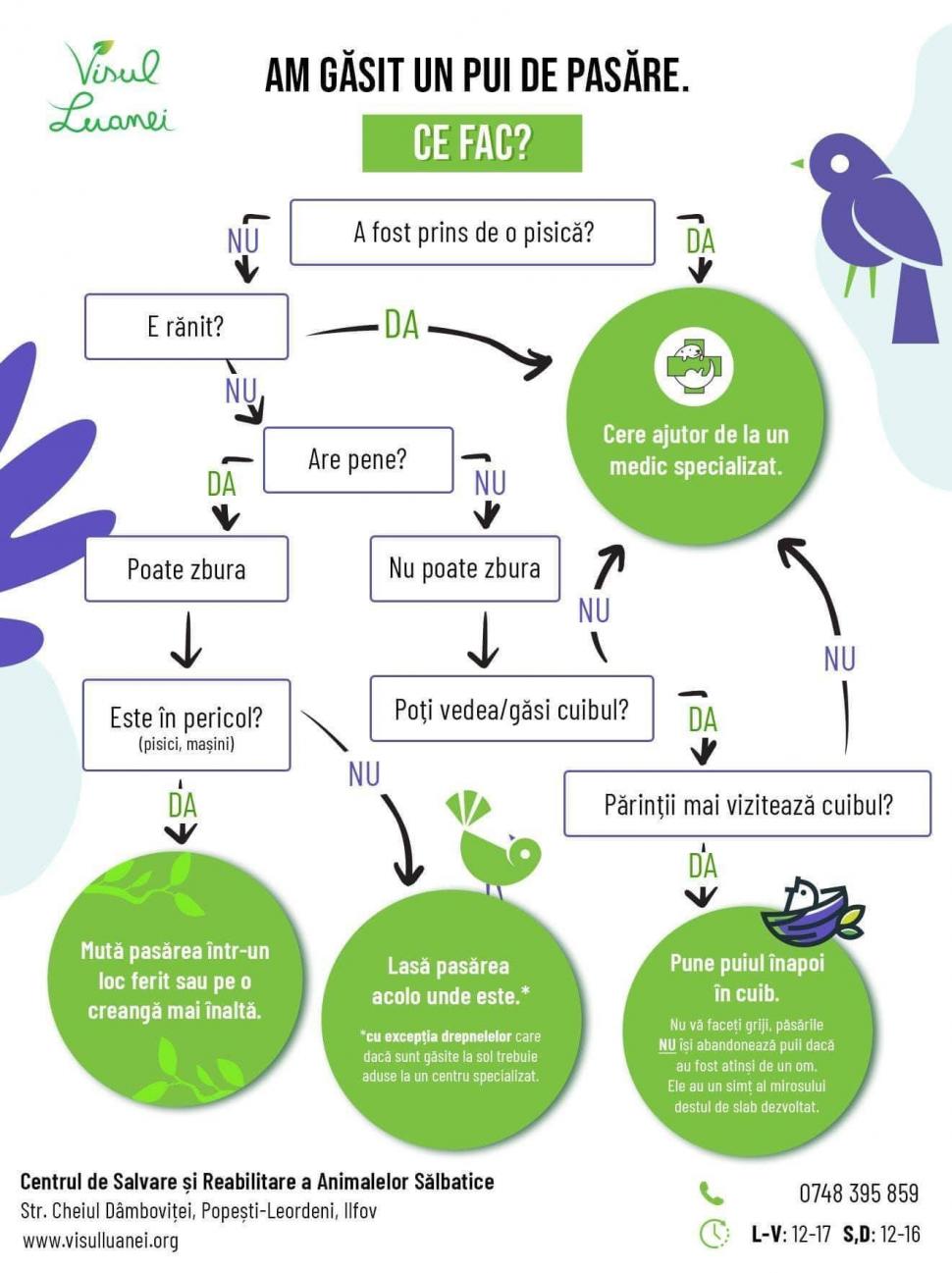 Mesajul viral al unui veterinar, pentru cei care cred că ajută animale sălbatice dar, de fapt, le fac rău: "NU ați înțeles bine, el nu vă implora să îl salvați, ci să îl lăsați în pace" 774235