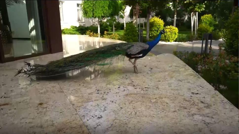 Locul din inima Deltei Dunării, unde te încarci cu energie. Cât costă o cameră la singurul hotel de cinci stele din zonă 774291