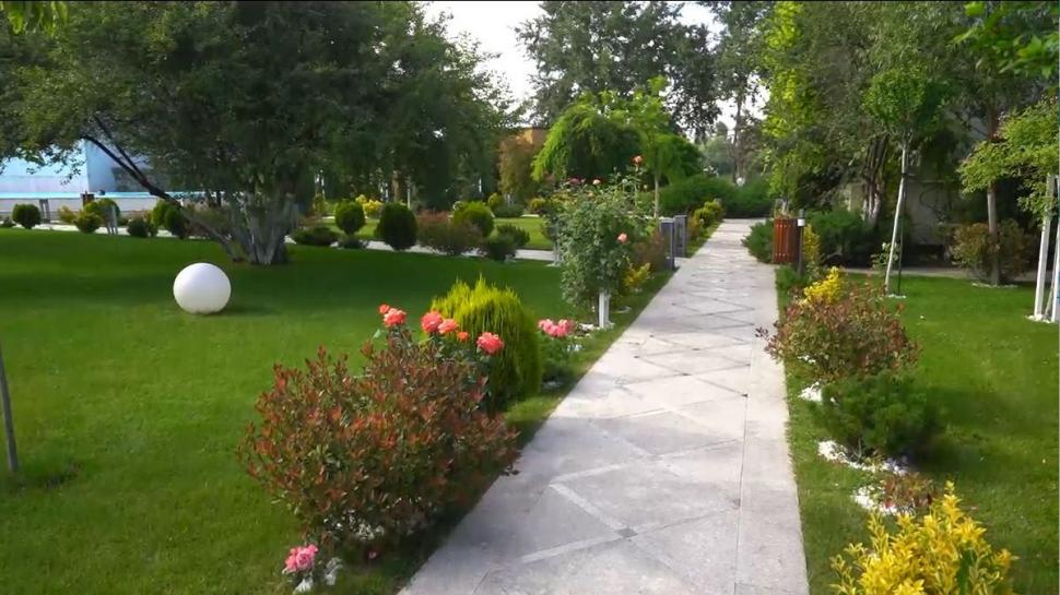 Locul din inima Deltei Dunării, unde te încarci cu energie. Cât costă o cameră la singurul hotel de cinci stele din zonă 774299