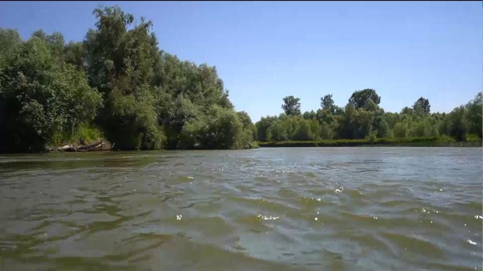 Locul din inima Deltei Dunării, unde te încarci cu energie. Cât costă o cameră la singurul hotel de cinci stele din zonă 774310