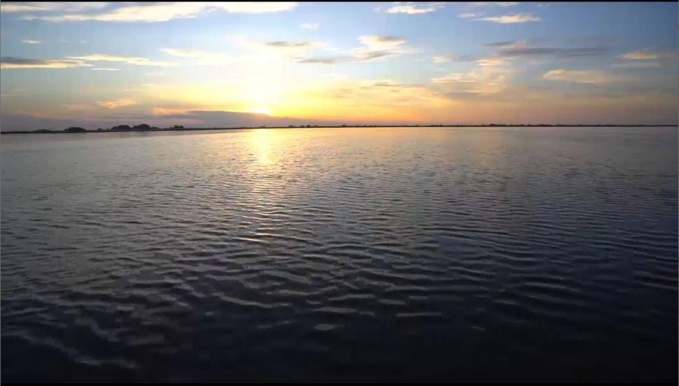 Locuri neştiute din Delta Dunării. De ce vor turiştii să vadă marea cu nuferi, zonele sălbatice sau pe cele misterioase 774334