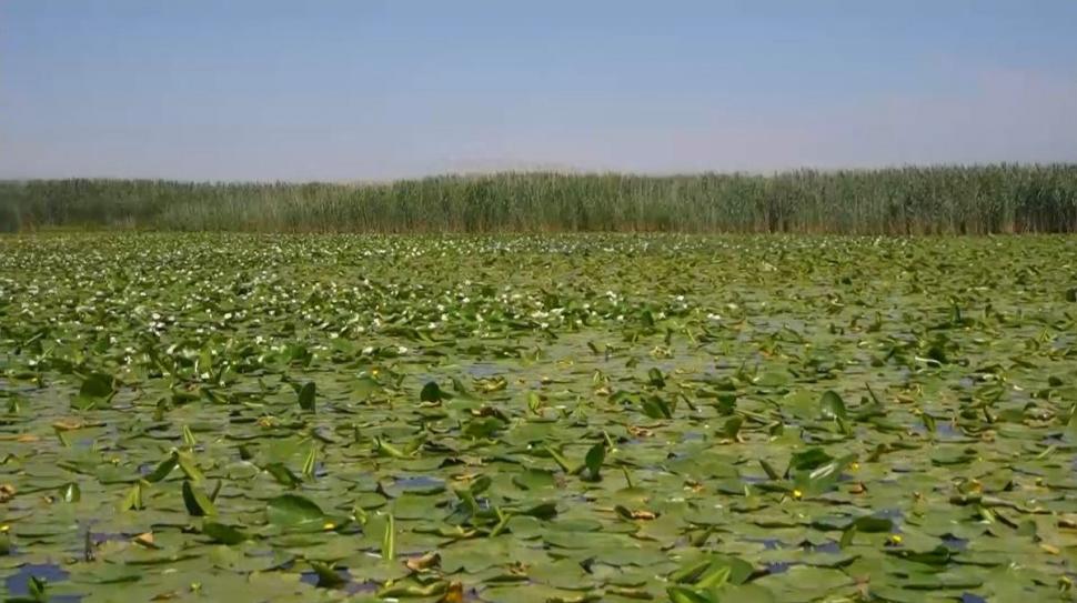 Terapii detox ca-n Turcia, la singurul hotel de 5 stele din Delta Dunării 774364