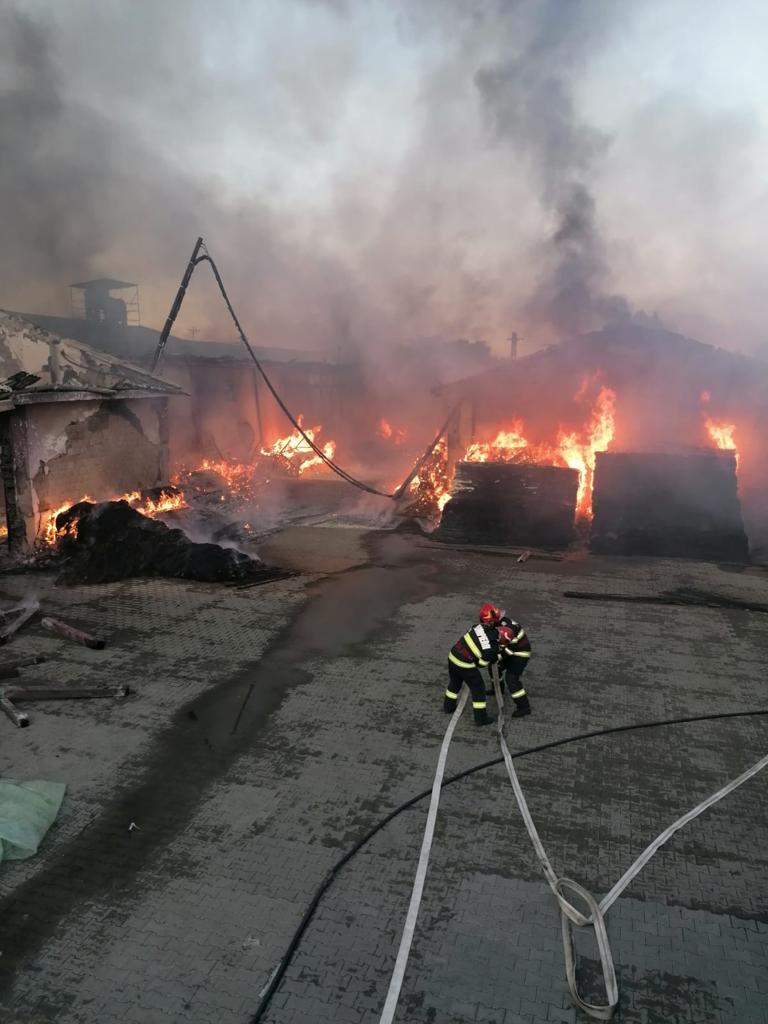Incendiu major în Buzău! S-a transmis mesaj RO-Alert | Prefectul județului: "Sunt în contact cu Raed Arafat. Am cerut resurse suplimentare" 774808