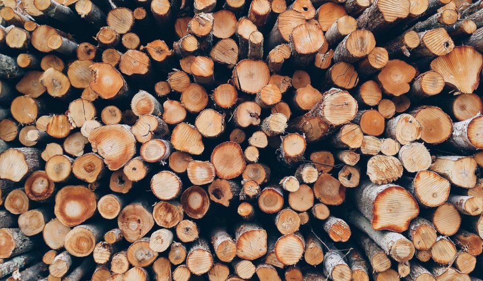 Prețurile la lemn procesat cresc cu aproape 40%. România e în topul primelor 20 de țări din lume la importul de bușteni