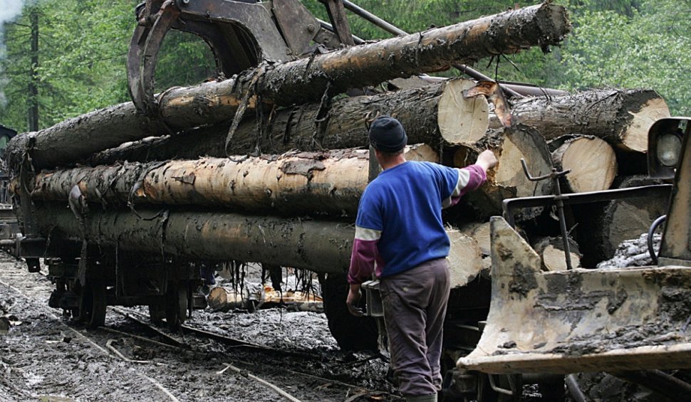 Ameninţări cu moartea la adresa poliţiştilor de frontieră care au oprit un transport ilegal de lemne la Borșa, în Maramureș