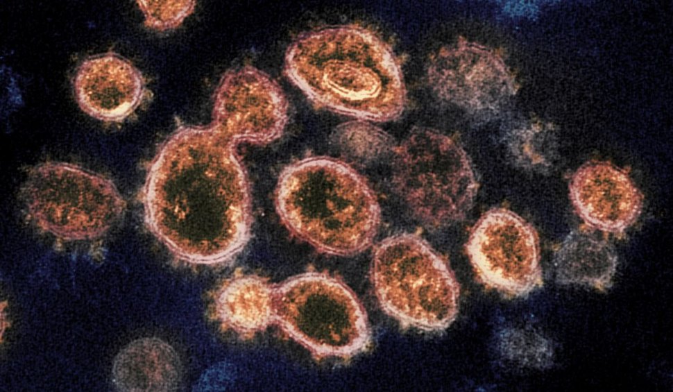 O altă boală cumplită amenință Marea Britanie, în plină explozie a cazurilor de variola maimuței