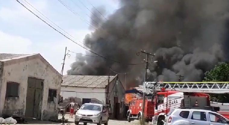 Incendiu uriaş la Becicherecu Mic. Ard deşeuri de materiale plastice. A fost sesizată Garda de Mediu 775635