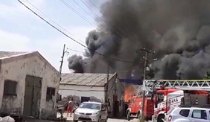 Incendiu uriaş la Becicherecu Mic. Ard deşeuri de materiale plastice. A fost sesizată Garda de Mediu 775637