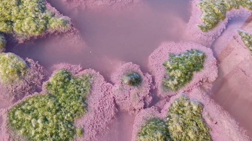 Lacul Techirghiol a devenit roz. Care este explicaţia acestui fenomen