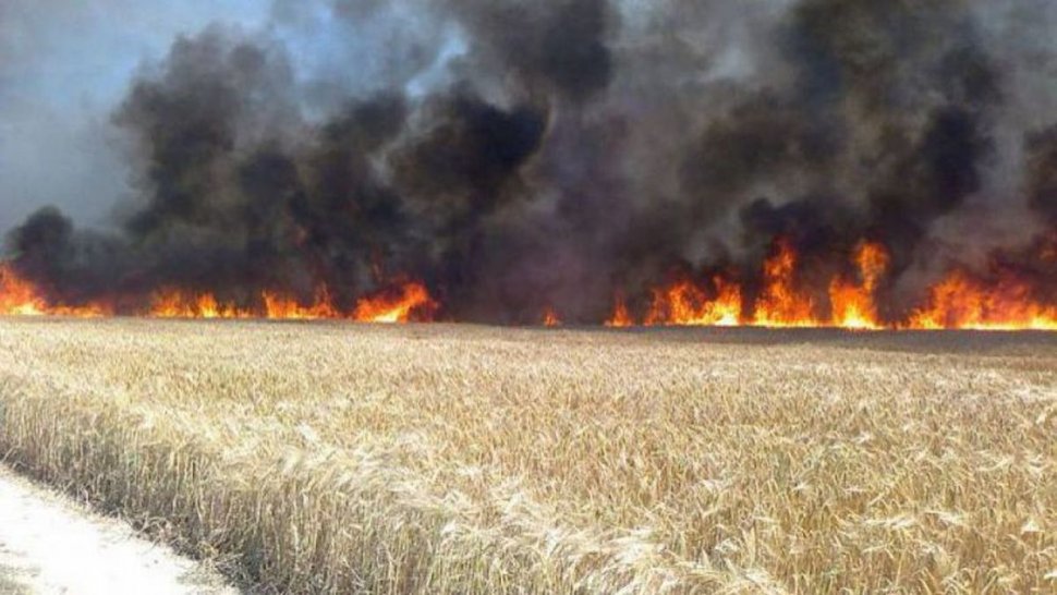 Incendiu puternic în Vrancea! 26 de hectare de grâu s-au făcut scrum