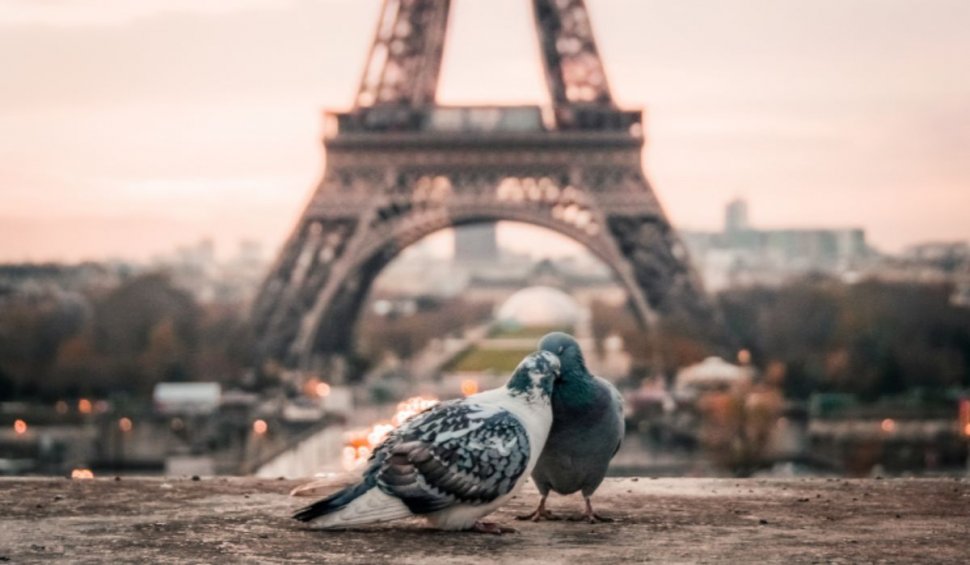 Ce să alegi pentru o aventură romantică: city break Roma sau Paris