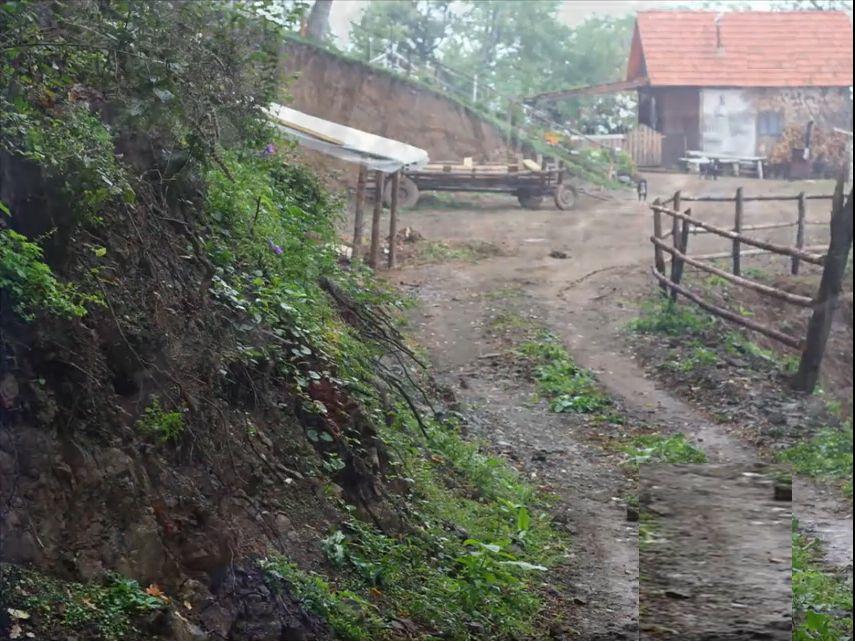 Se vinde casa părintească a lui Arsenie Boca. Cât costă locul mirific de 8,5 hectare, situat în Hunedoara 775962