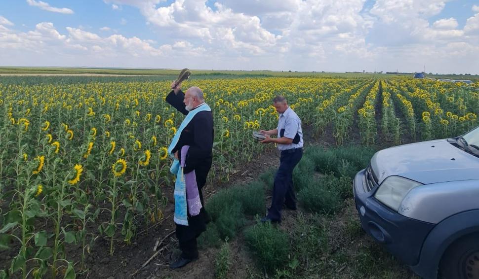 Preoţii din Galaţi fac slujbe pe câmpul pârjolit, sperând la o ploaie de la Dumnezeu 776731