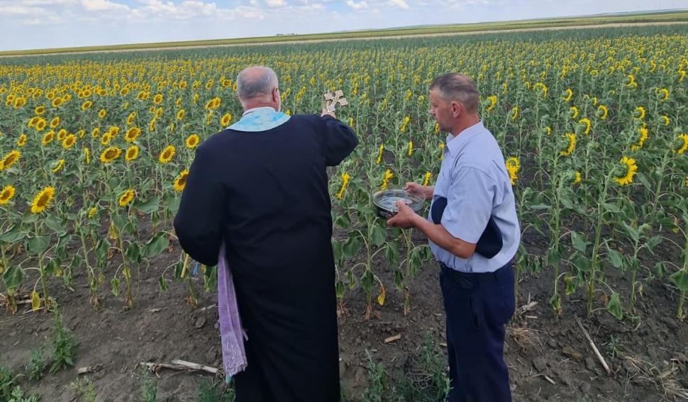 Preoţii din Galaţi fac slujbe pe câmpul pârjolit, sperând la o ploaie de la Dumnezeu 776732