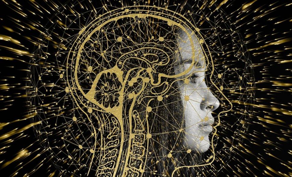 Asta îți macină creierul. Prof. dr. Vlad Ciurea: ”Celulele nervoase scad”. Cum ajuți creierul să funcționeze mai bine 776862