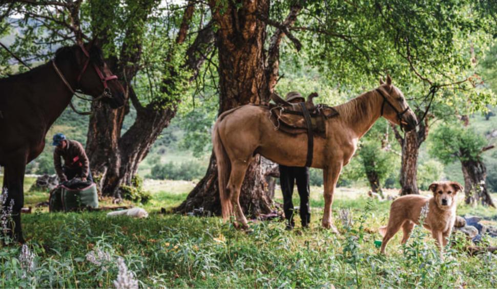 Povestea unui bărbat din SUA care a înconjurat lumea pe jos, alături de câinele său 776973