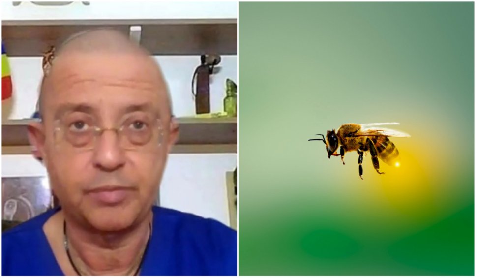 Dr. Tudor Ciuhodaru, ghid de supravieţuire în cazul în care ne înţeapă o albină. 10 lucruri care ne pot salva viaţa