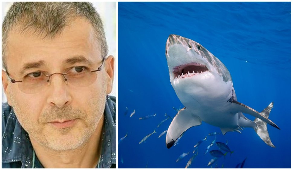 Adrian Bîlbă, doctor în științe veterinare, despre atacul rechinilor din Egipt şi Turcia: "Există 3 motive principale"