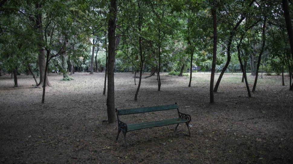 Cişmigiu, parcul abandonat al Capitalei. Miros de nesuportat, lac secat, gunoaie şi locuri de joacă stricate 777140