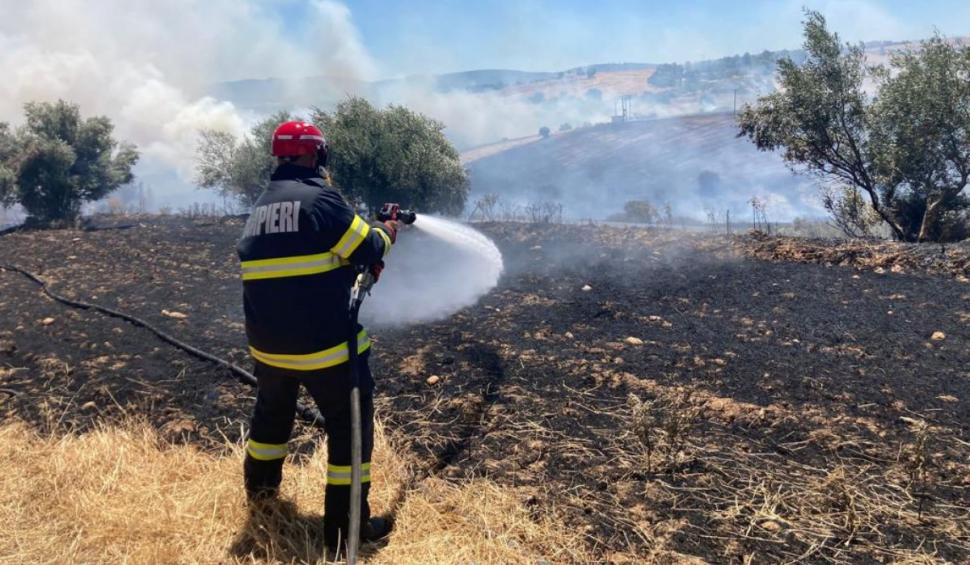 Incendiu devastator în Grecia, un oraş întreg a fost evacuat | Zeci de pompieri români sunt în misiune la nord de Atena 777151
