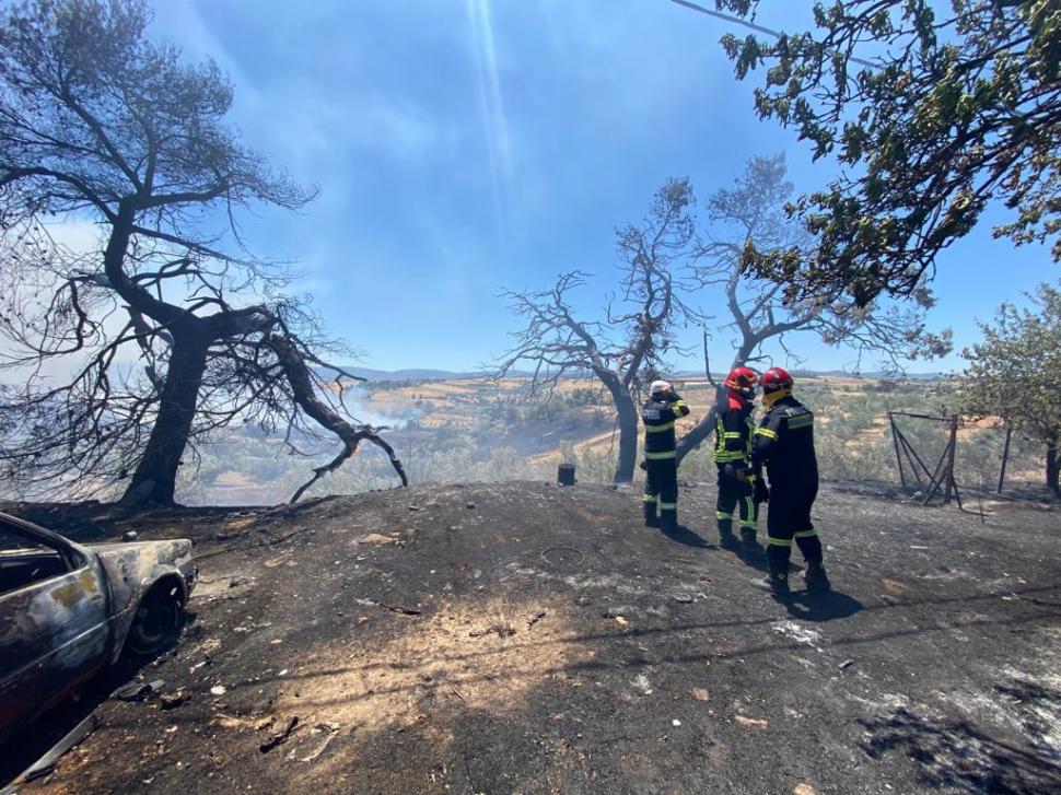 Incendiu devastator în Grecia, un oraş întreg a fost evacuat | Zeci de pompieri români sunt în misiune la nord de Atena 777153
