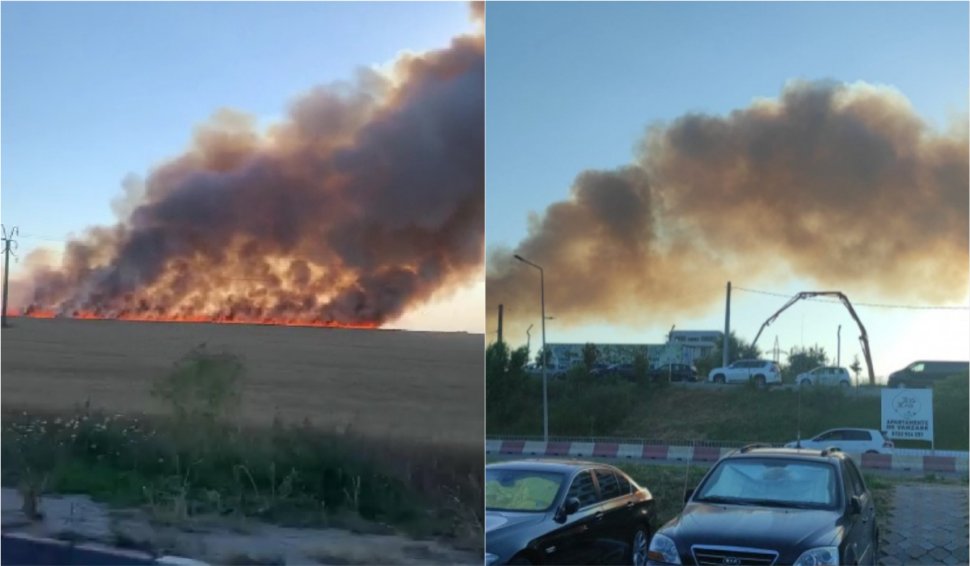 Incendiu masiv la un lan de grâu din Năvodari. Fumul se vede şi de pe malul mării