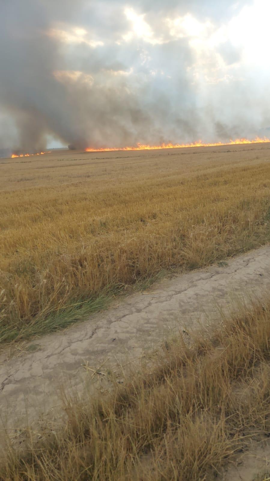 Incendiu masiv la un lan de grâu din Năvodari. Fumul se vede şi de pe malul mării 777390