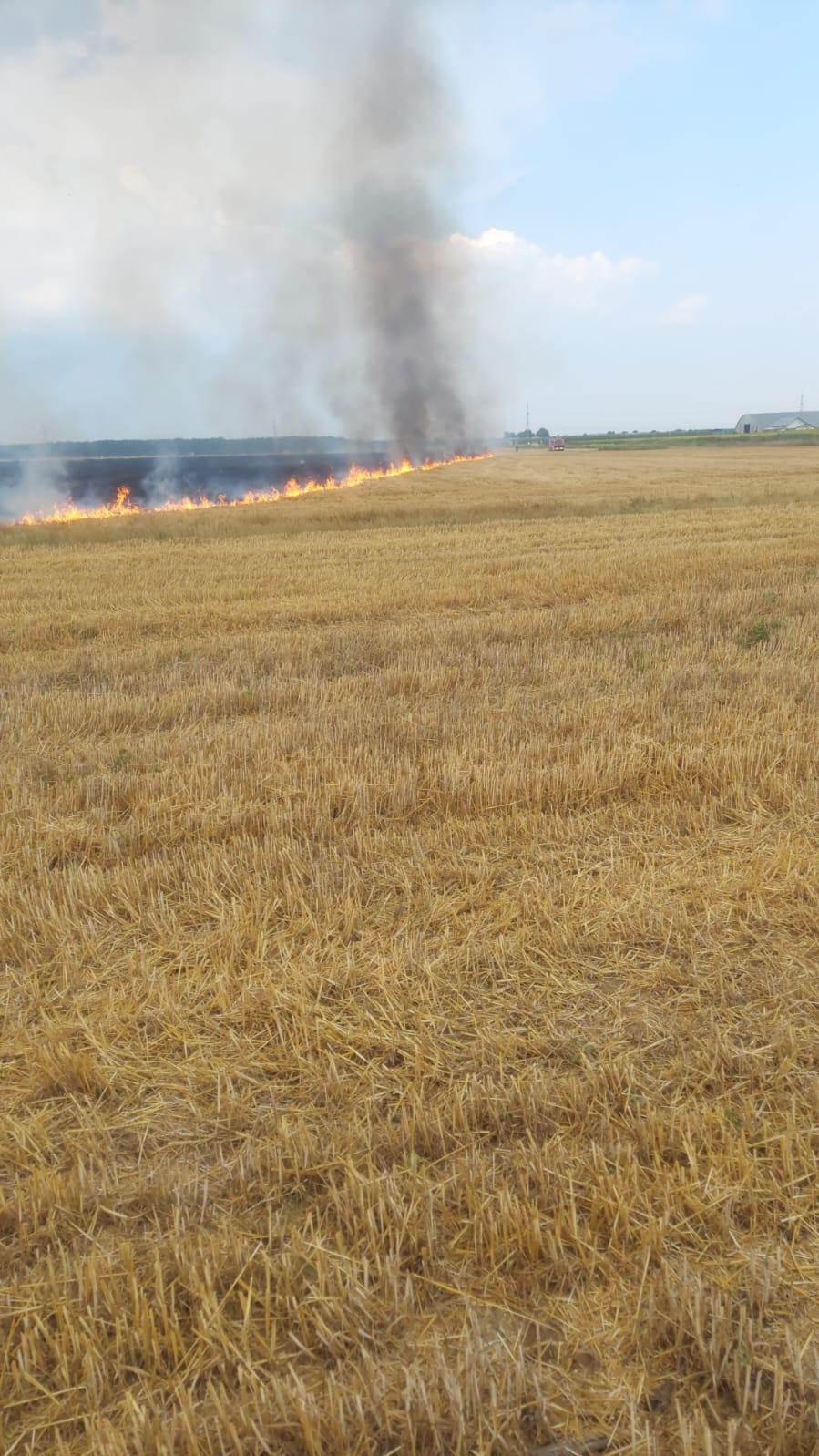 Incendiu masiv la un lan de grâu din Năvodari. Fumul se vede şi de pe malul mării 777391