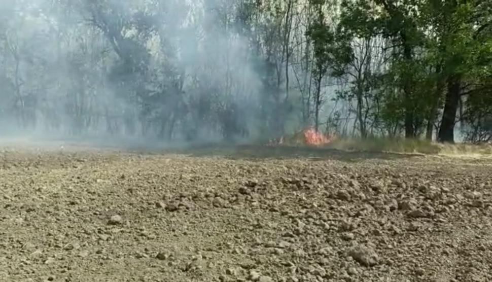 Incendiu violent de vegetaţie în Vrancea 777555
