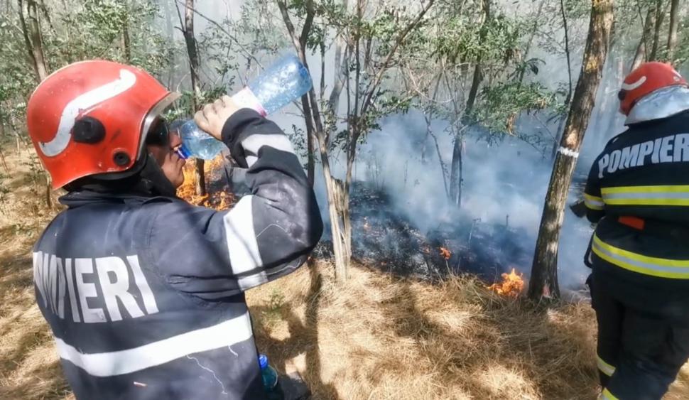 Incendiu violent de vegetaţie în Vrancea 777556