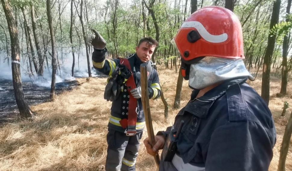 Incendiu violent de vegetaţie în Vrancea 777557