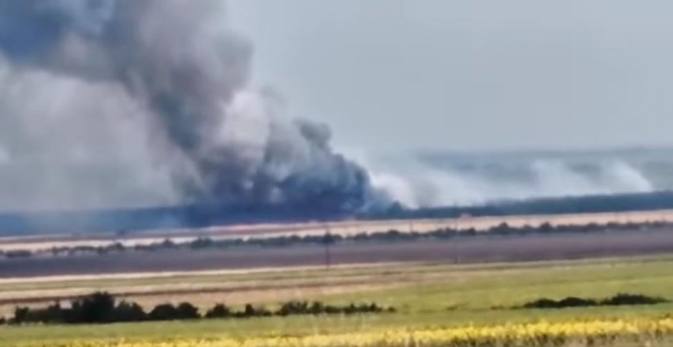 Incendiu violent de vegetaţie în Vrancea 777558