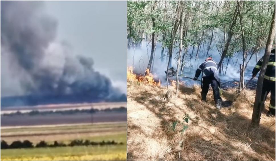 Incendiu violent de vegetaţie în Vrancea 777560