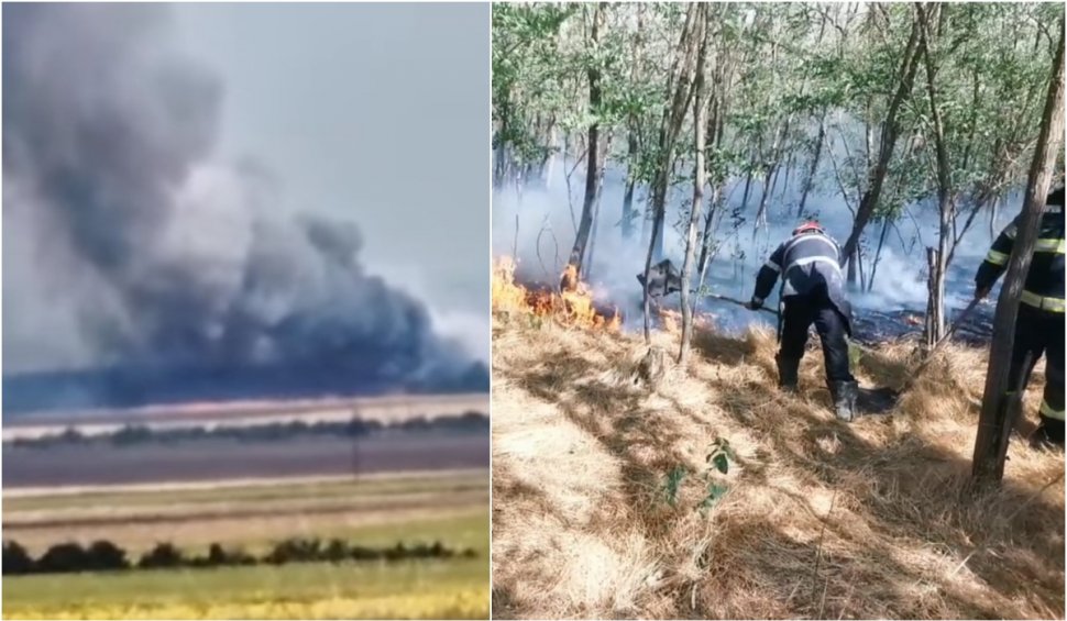 Incendiu violent de vegetaţie în Vrancea