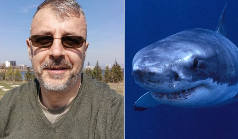 Dr. Adrian Bîlbă, noi detalii despre rechinii ucigaşi: "Există specii agresive şi periculoase pentru om chiar şi în Mediterana"