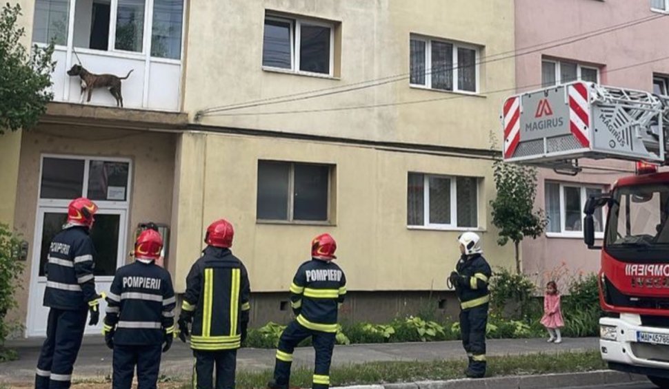 Câine lăsat legat în balconul unui apartament, salvat de pompierii din Sibiu după ce a sărit pe geam și a rămas blocat în lesă