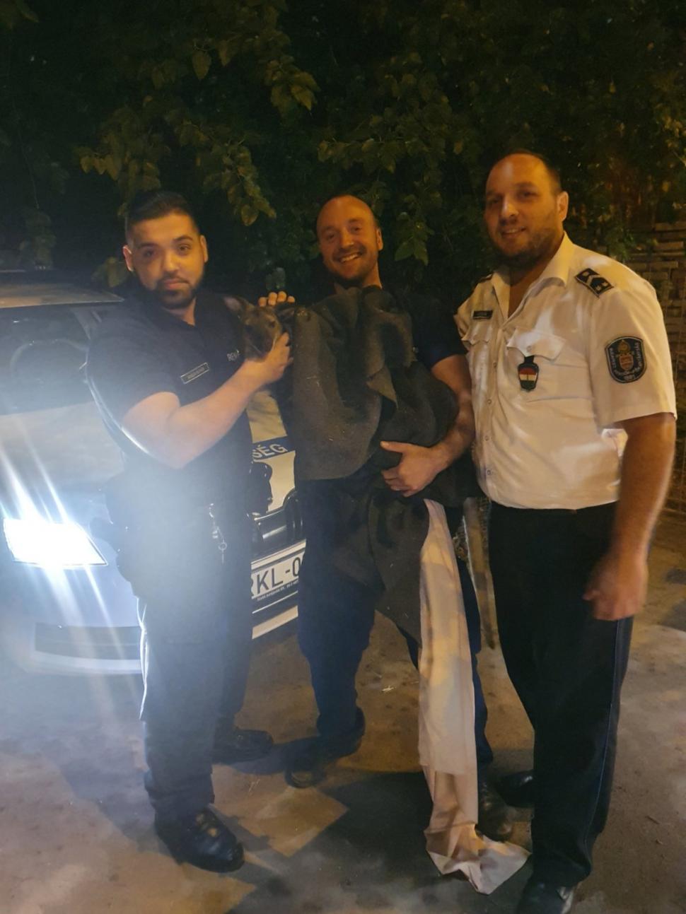 Polițiștii maghiari au fugărit un cangur pe străzile din Budapesta. Au reușit să îl prindă cu o pătură 778238