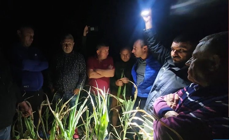 Petre Daea, fotografiat noaptea în lanul de porumb. Ce făcea ministrul