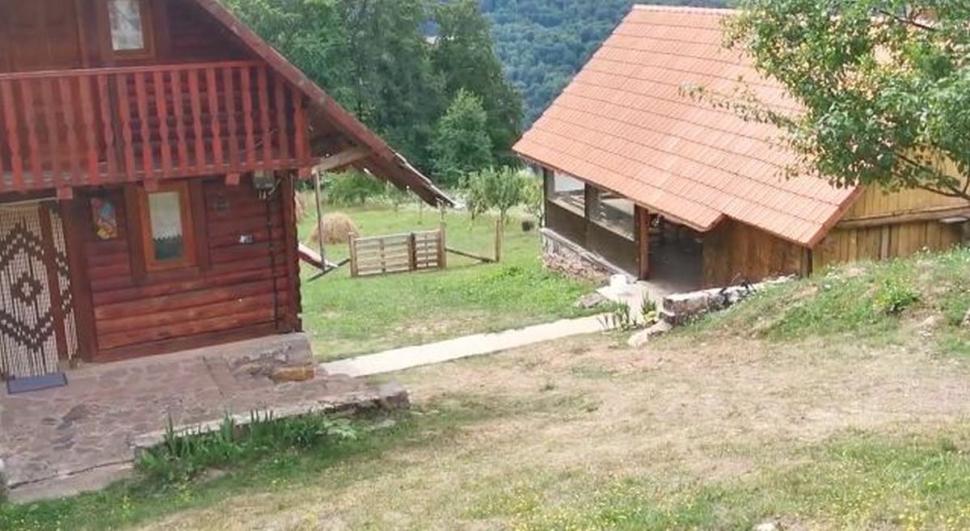 Primele imagini de la fabrica de droguri din Bihor | Aici este laboratorul de extragere a cocainei amestecată în cafea 778659