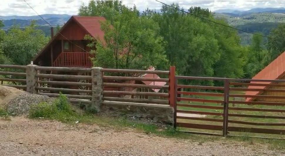 Primele imagini de la fabrica de droguri din Bihor | Aici este laboratorul de extragere a cocainei amestecată în cafea 778660