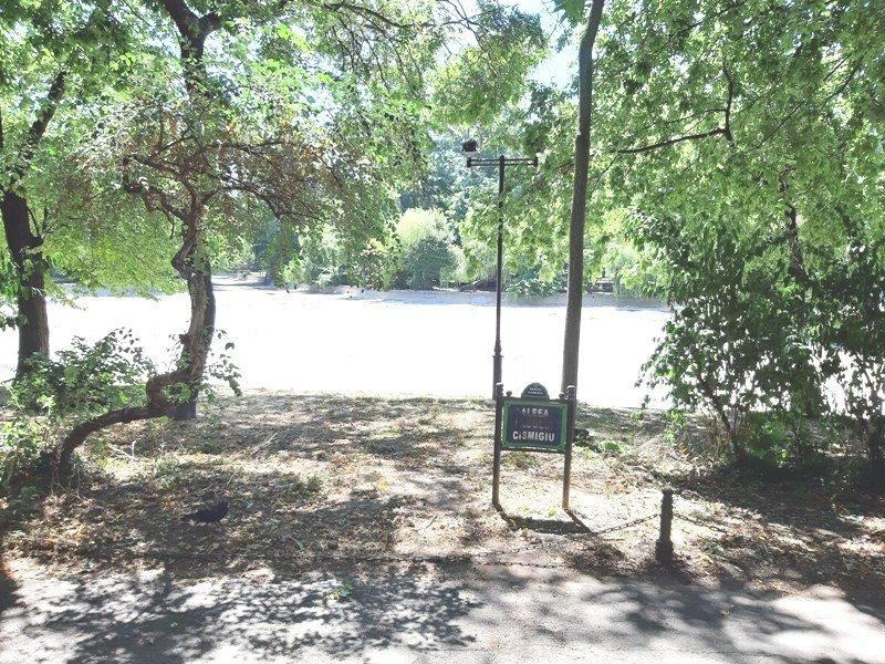 Prefectul Capitalei: "Parcul Cişmigiu este lăsat în paragină. Voi propune sancţiunile care se impun" 779042