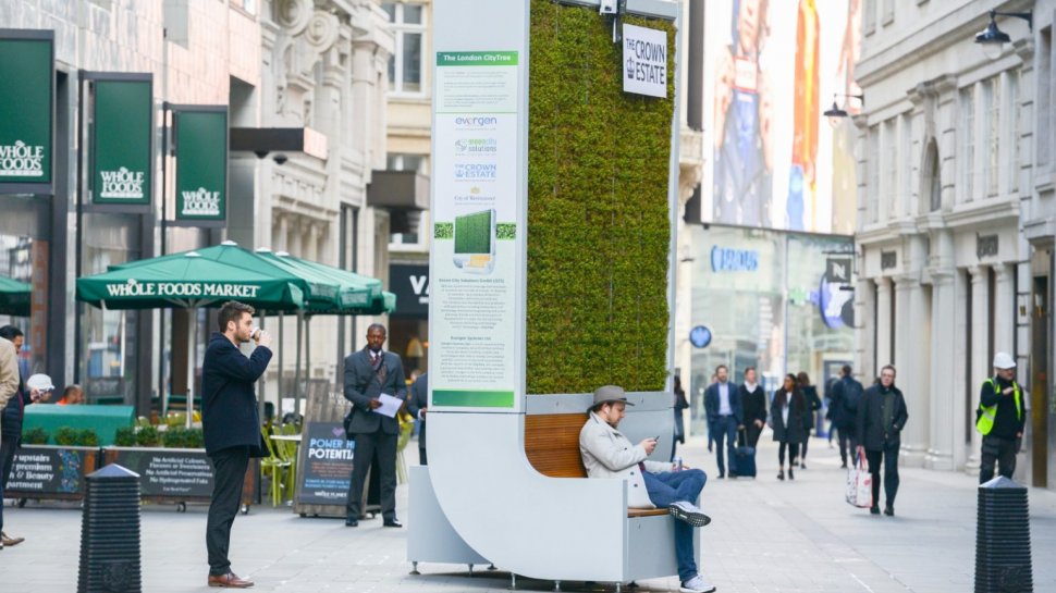 Cum arată primul "copac inteligent" instalat într-un oraş din România