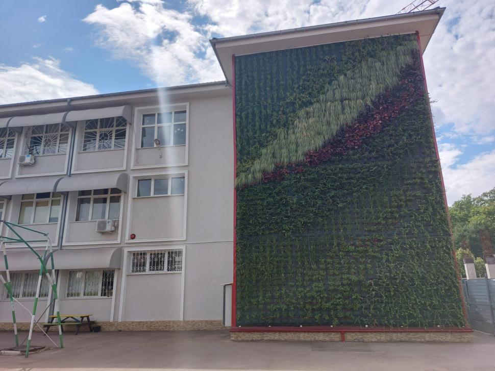 Blocurile noi din Craiova vor avea faţade din plante naturale | Imagini cu primul beneficiar al proiectului pilot 779413